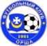 奥尔沙logo